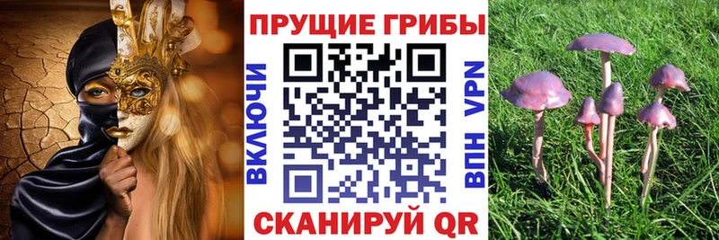 Галлюциногенные грибы MAGIC MUSHROOMS закладка Чебаркуль