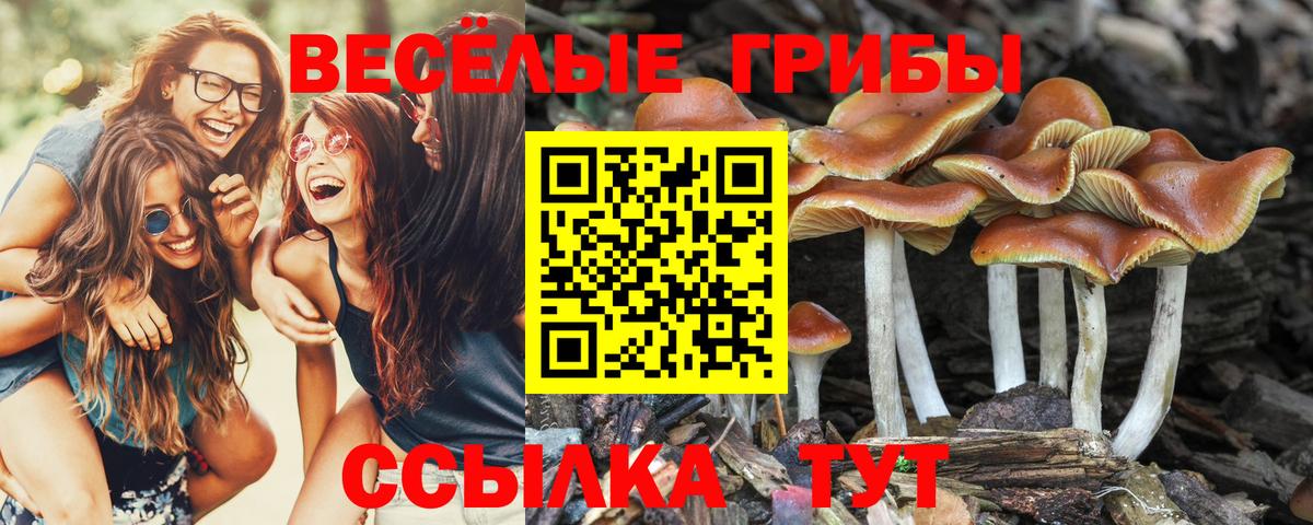 Чебаркуль  Галлюциногенные грибы Psilocybine cubensis  Галлюциногенные грибы GOLDEN TEACHER  Вход с VPN 