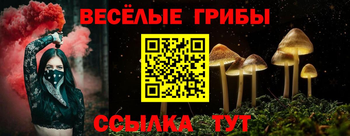 Псилоцибиновые грибы Magic Shrooms Чебаркуль